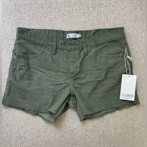 Carve Designs Oahu Shorts.